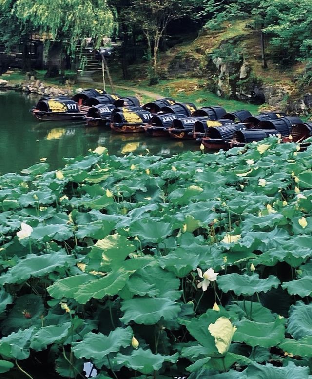 女兒國取景地86版西遊記取景地/紹興東湖