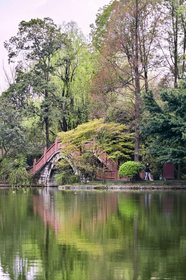 成都古風園林的天花板/棠湖公園～