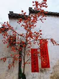 依依古村 千年仁里