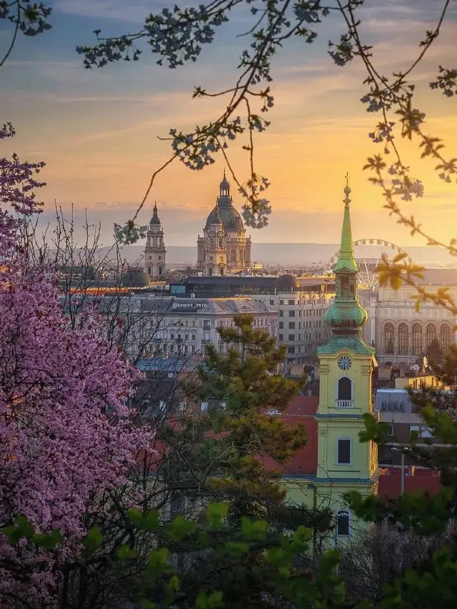 Spring in Europe 🇷🇺🇭🇺🇳🇴🇳🇱