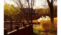 天津津北森林公園