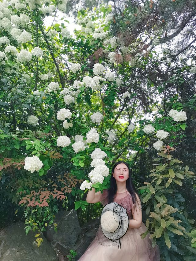 五一全家旅行好去處，孩子們的遊樂場，媽媽們的大花園