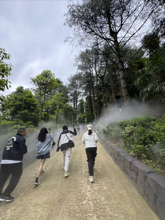 貴陽周邊！！感受了一天飼養員的快樂！！！