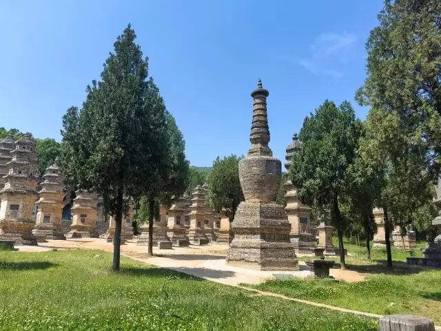 The Shaolin Temple Pagoda Forest, a World Cultural Heritage site, is located in the Shaolin Temple scenic area of Dengfeng City, Songshan Mountain