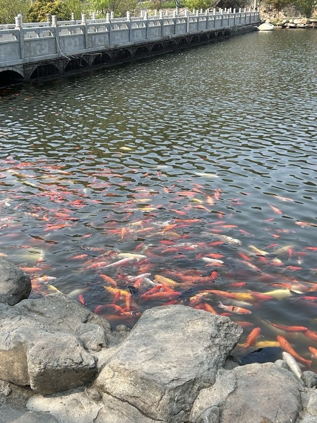 連雲港·花果山｜來大聖的故鄉看一看