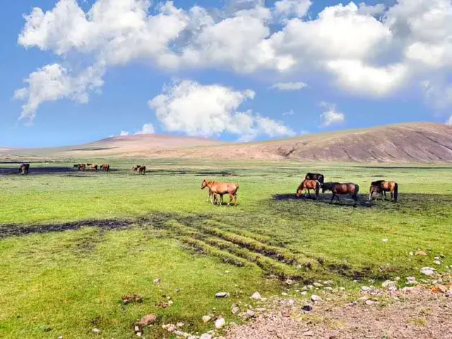 대초원 5일 여행 추천.