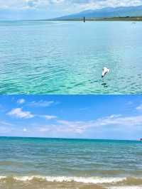 西北大環線青海湖|自由是吹向心靈的風