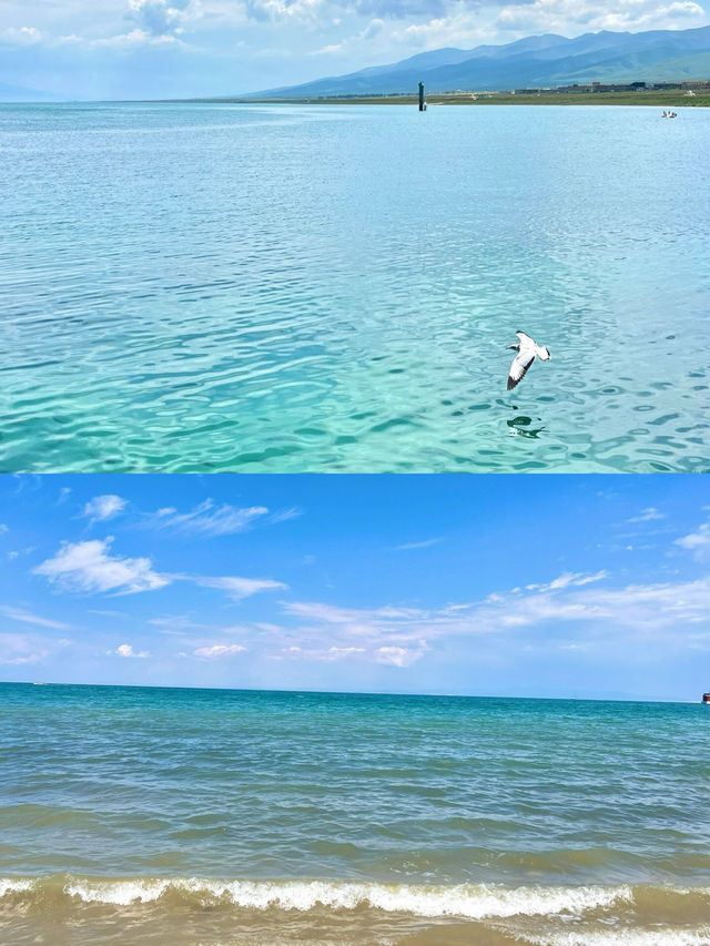 西北大環線青海湖|自由是吹向心靈的風