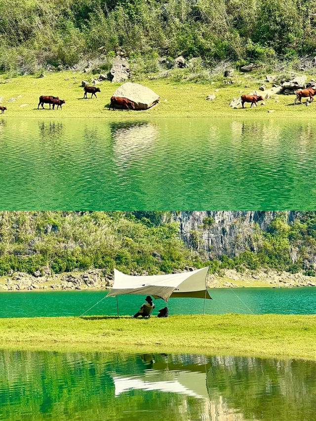 南寧周邊更望湖打卡《鬼怪》同款蕎麥花海