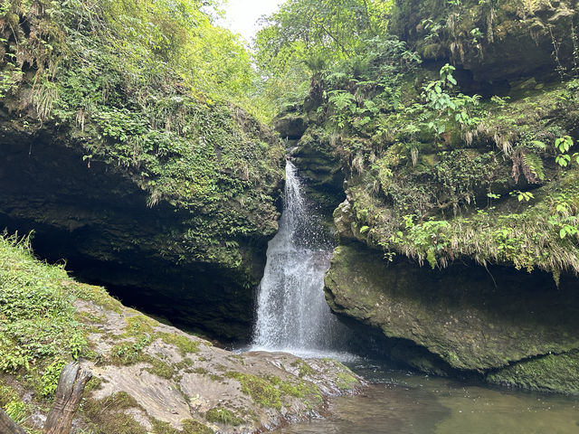 龍苍溝國家級森林公園