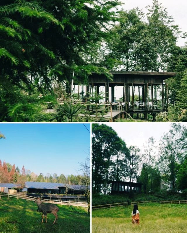 青城山·路之青城川西古宅打造森林私湯居所