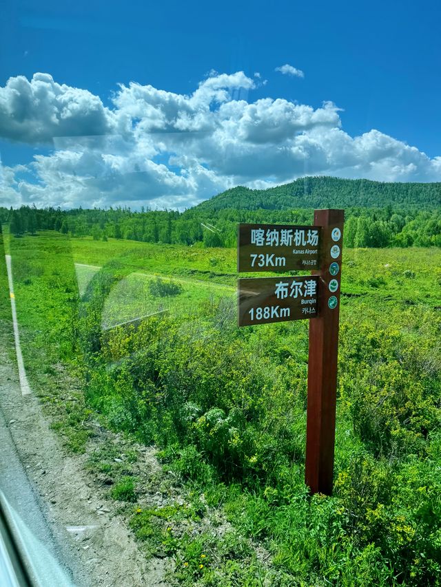 徒步在新疆的禾木新村上，感受着夏日的清凉与美好！