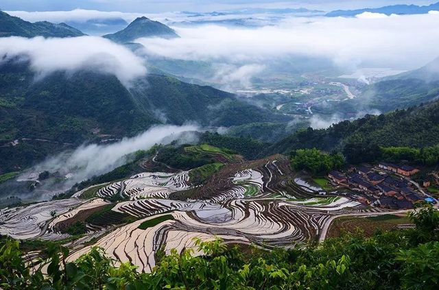 高山雲際梯田，如詩如畫是念山