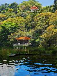 仙湖植物園，我原稱之為深圳小絕境