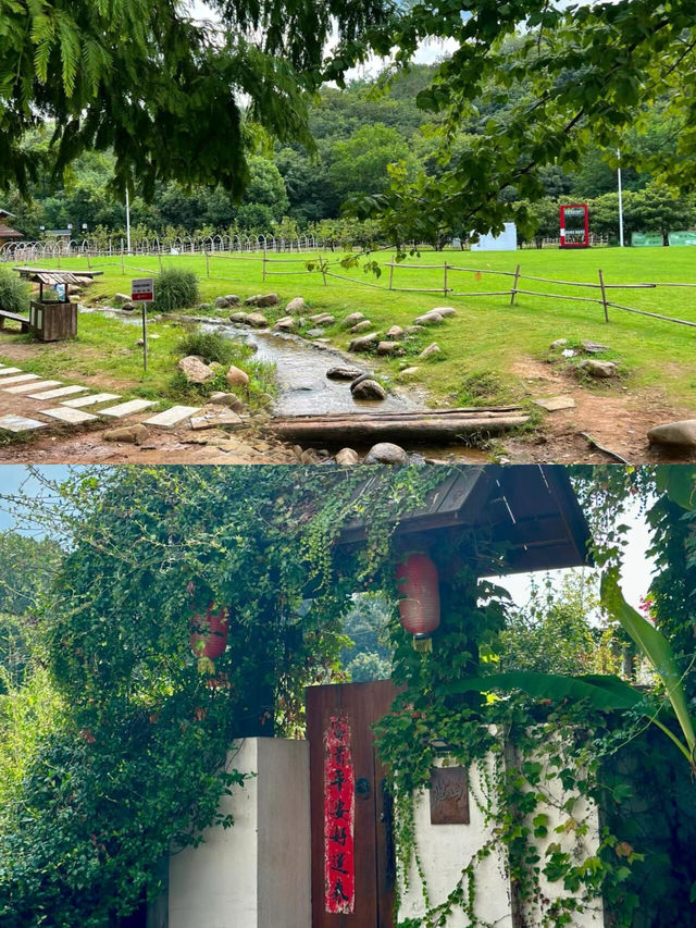 南京不老村︱解開那些不值得一提的迷茫