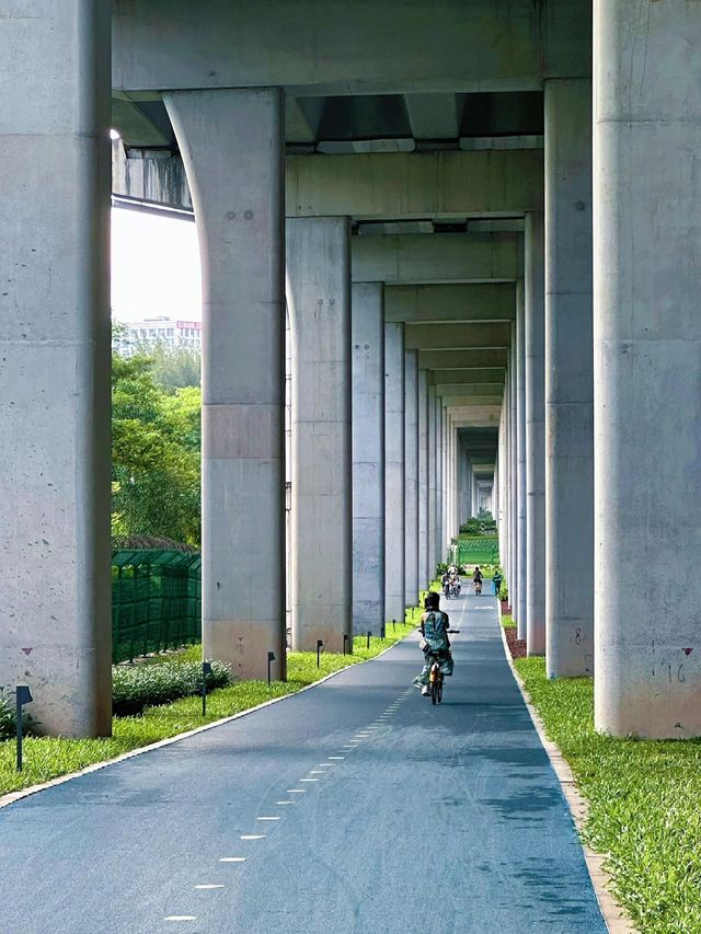 深圳寶藏綠道 | 山海連城前海灣段遊玩攻略