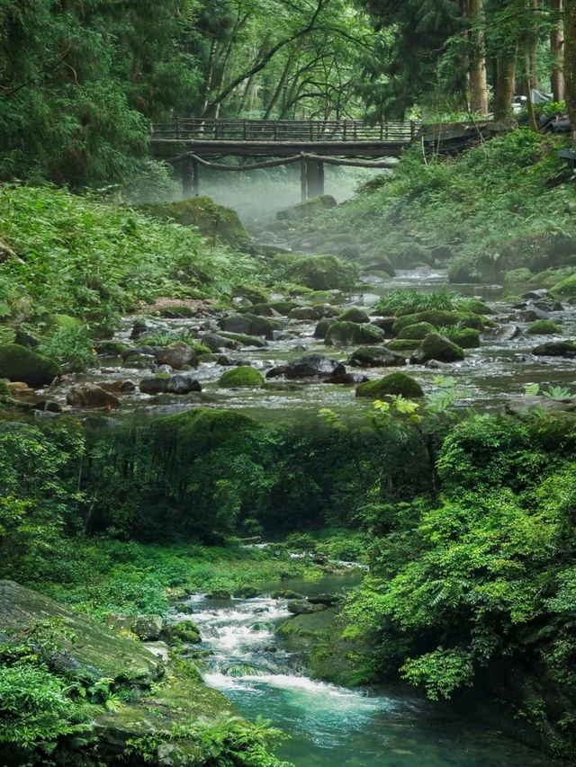 張家界金鞭溪——大自然的天然氧吧