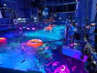 沈陽遛娃| SeaLife海洋探索中心
