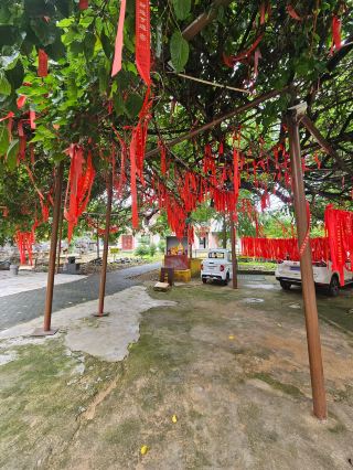 深度探索發現～邳州石屋寺，遊玩分享！