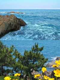 不聽勸去了黃島，去黃島一定要知道