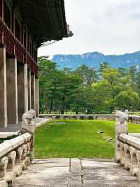 A glimpse of Korea’s majestic heritage • Walking in the footsteps of Kings and Queens🤴👸