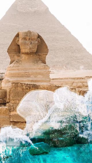 Egypt Red Sea | Hurghada Dolphin Snorkeling Guide