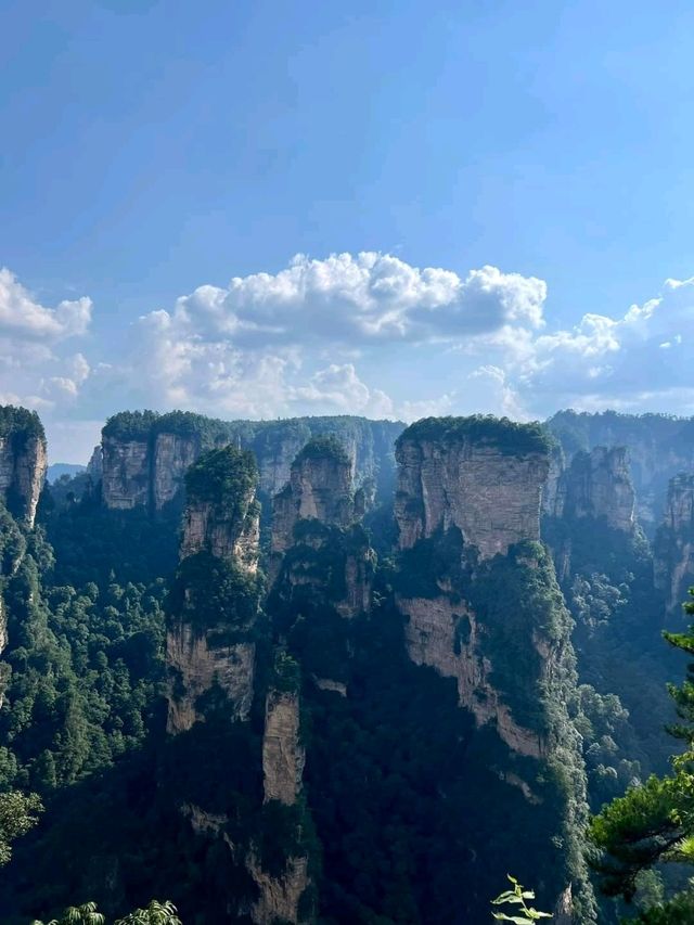 Avatar Mountain