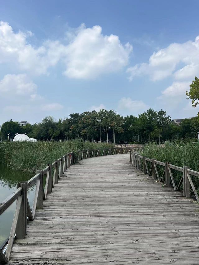 沒想到，東營的這個公園有點厲害的！