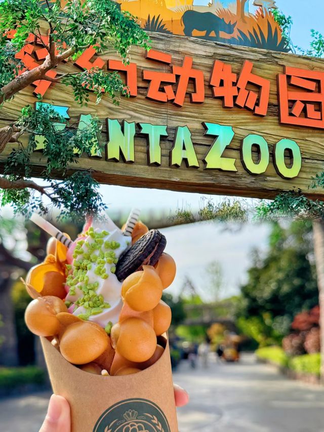 銀基動物王國在這裡太快樂了