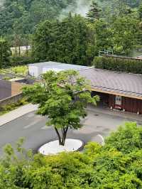 箱根天悠酒店：溫泉、美景與音樂的國際風情體驗