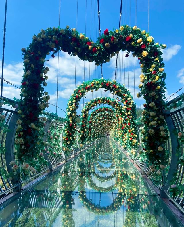 來三門感受這如詩如畫的旅行