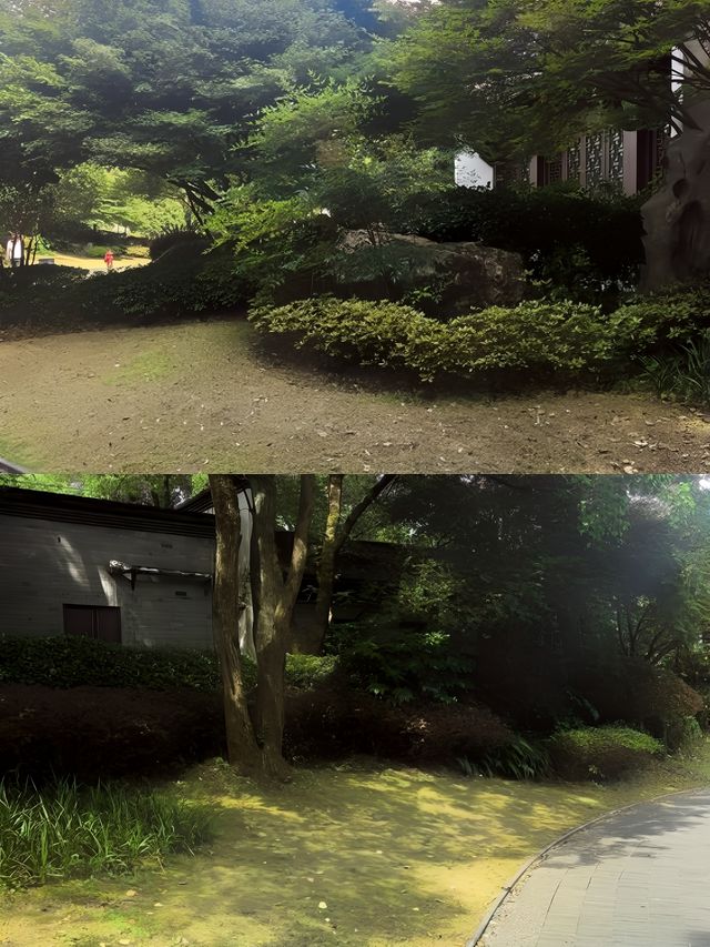 九華山涵月樓|隱匿朝聖之地的園林秘酒店。