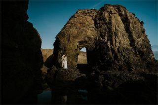 Dream New Quay: Encounter the wonders of the ocean and embark on a journey of excitement. 