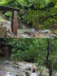 東莞|呢個森林公園好適合避暑溯溪,出相都好靚。