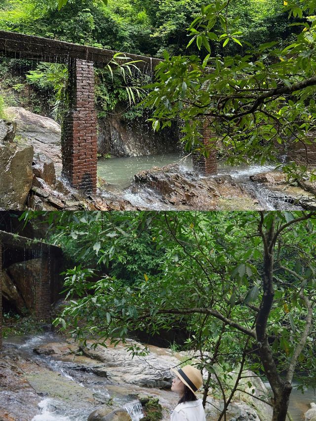東莞|呢個森林公園好適合避暑溯溪,出相都好靚。