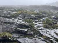 西安朱雀國家森林公園 大自然的地理課堚。