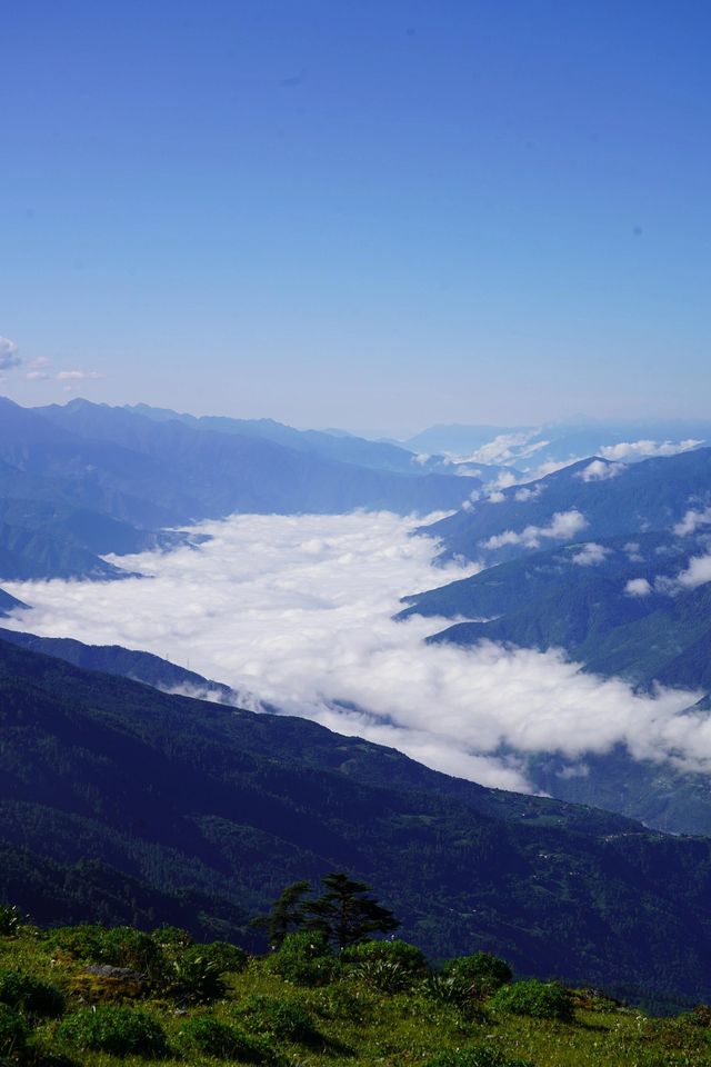 迪慶·神居地九湖一山。