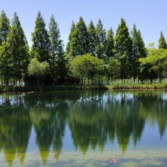 【蘇州新区/太湖国家湿地公園】パンダもいる巨大な湿地公園！