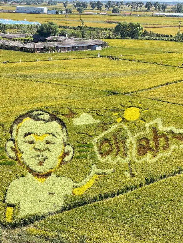 Shenyang Shenbei New Area Rice Dream Space.