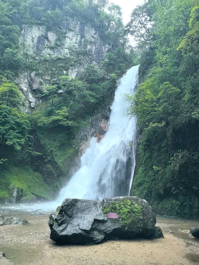 森林秘境,綠野仙蹤,洗肺聖地。 森林秘境,綠野仙蹤,洗肺聖地。