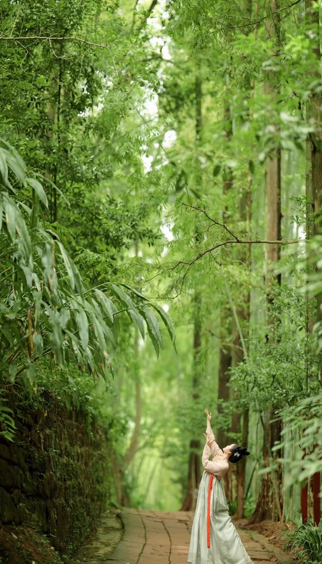 國慶出行~  小眾微度假眉山三天兩晚遊之中岩寺。
