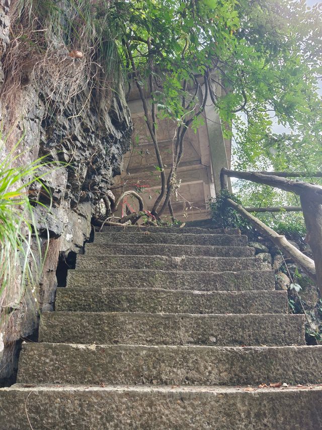 劍門歸來不看門。