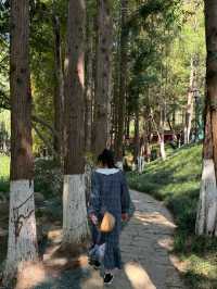 帶孩子在植物園裏撿「垃圾」。