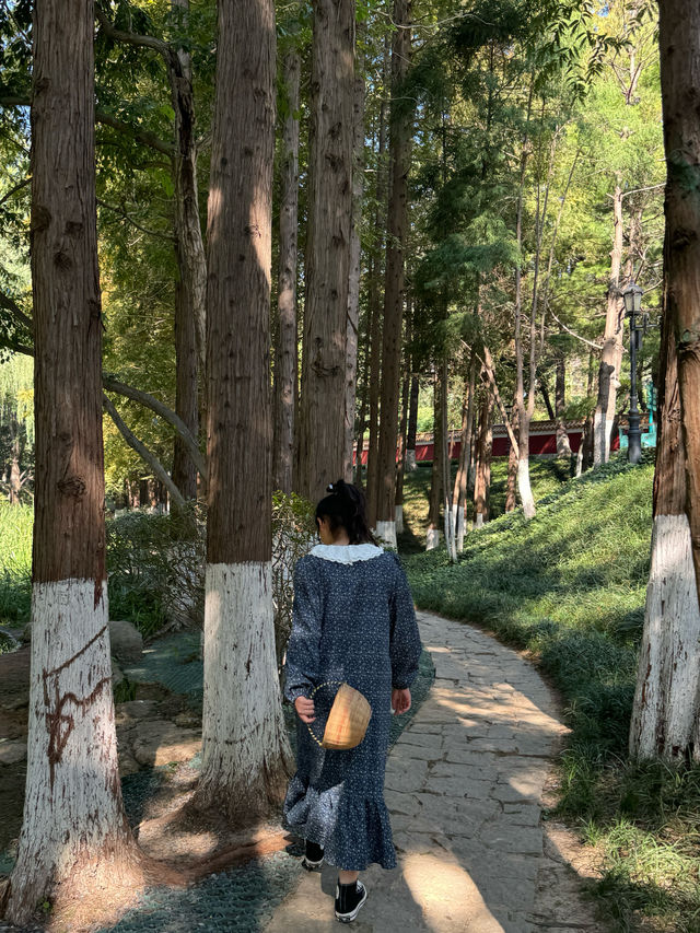 帶孩子在植物園裏撿「垃圾」。