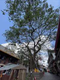 思茅老街戴家巷古建築群。