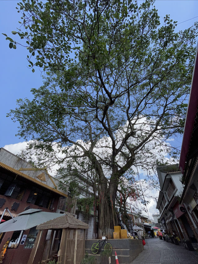 思茅老街戴家巷古建築群。