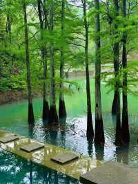 長沙 森林氧吧 大山沖森林公園 小九寨溝。