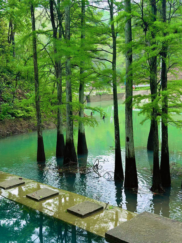 長沙 森林氧吧 大山沖森林公園 小九寨溝。