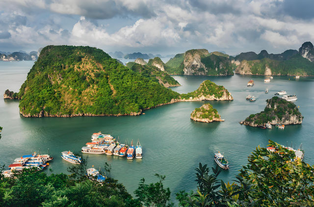 洞海：探索神秘的海底世界。