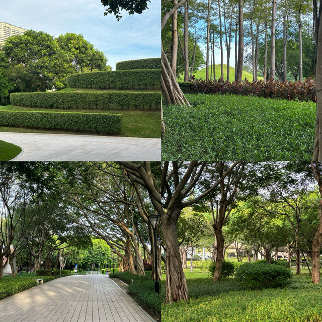 秋日逛公園||海灣公園||從不讓人失望。